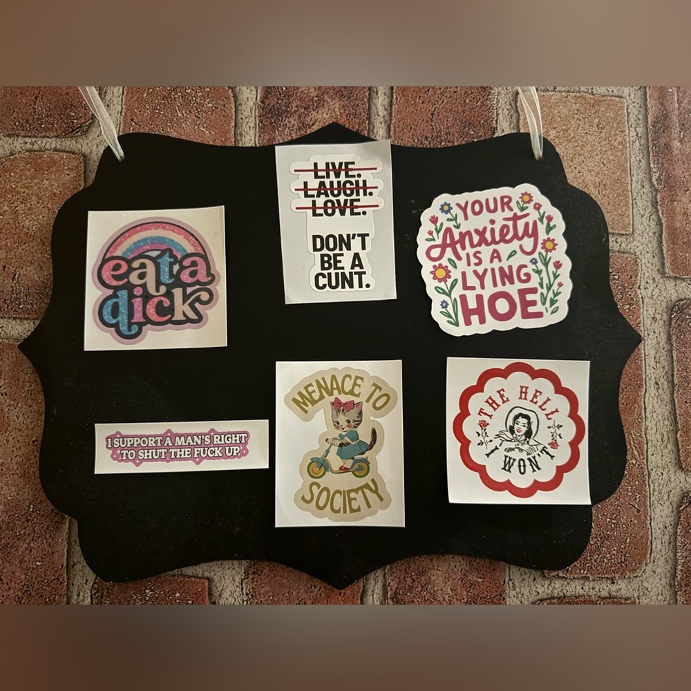 6 Funny Sarcastic Decorative Sticker Set (~3inch)